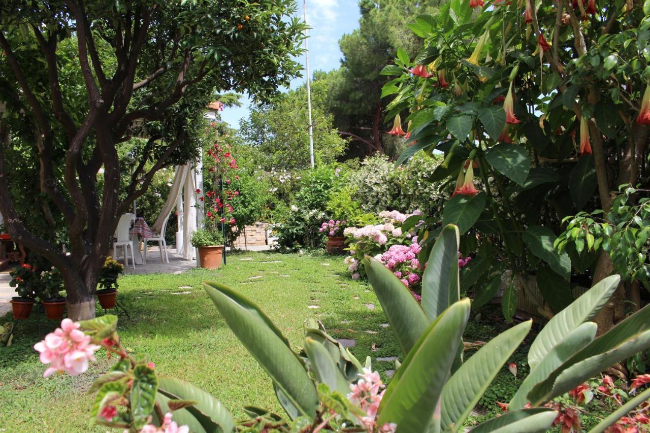 Comodo Con Giardino E Patio *