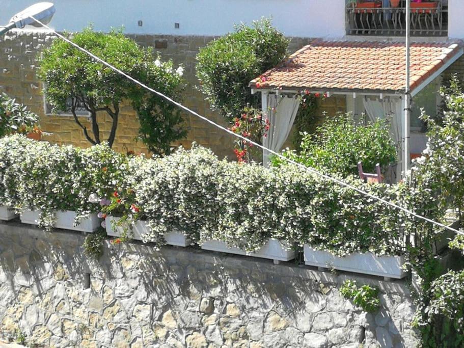 Comodo Con Giardino E Patio Apartment