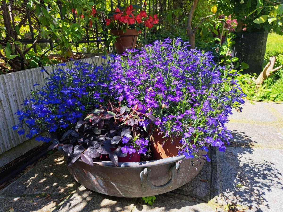 Apartment Comodo Con Giardino E Patio