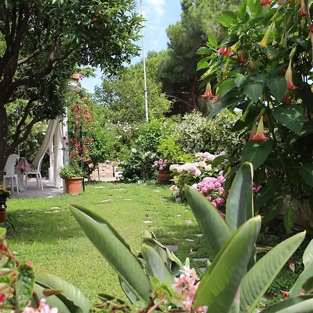 Comodo Con Giardino E Patio Sanremo Exterior photo